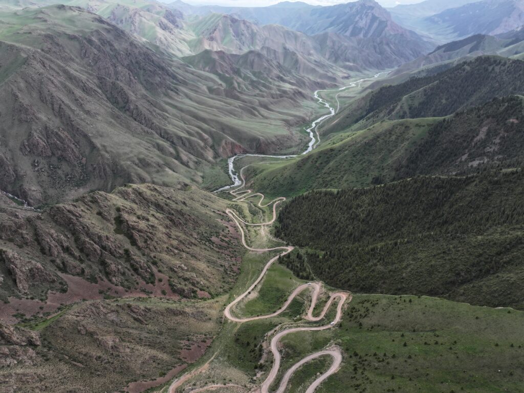 Pass Terskey Torpok or 333 Parrots