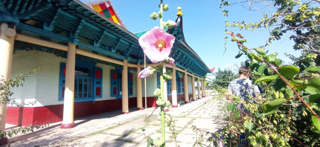 dungan mosque  Karakol flower