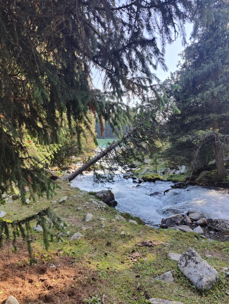 Suttuu blulak lake surrounding